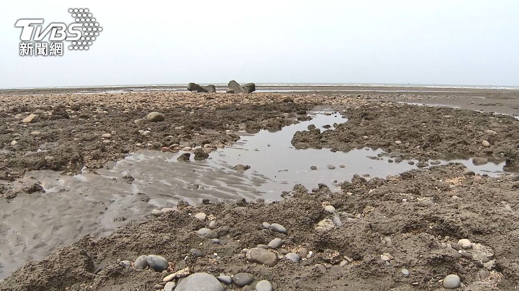 三接遷離公投 正方:需要天然氣不應摧毀海域