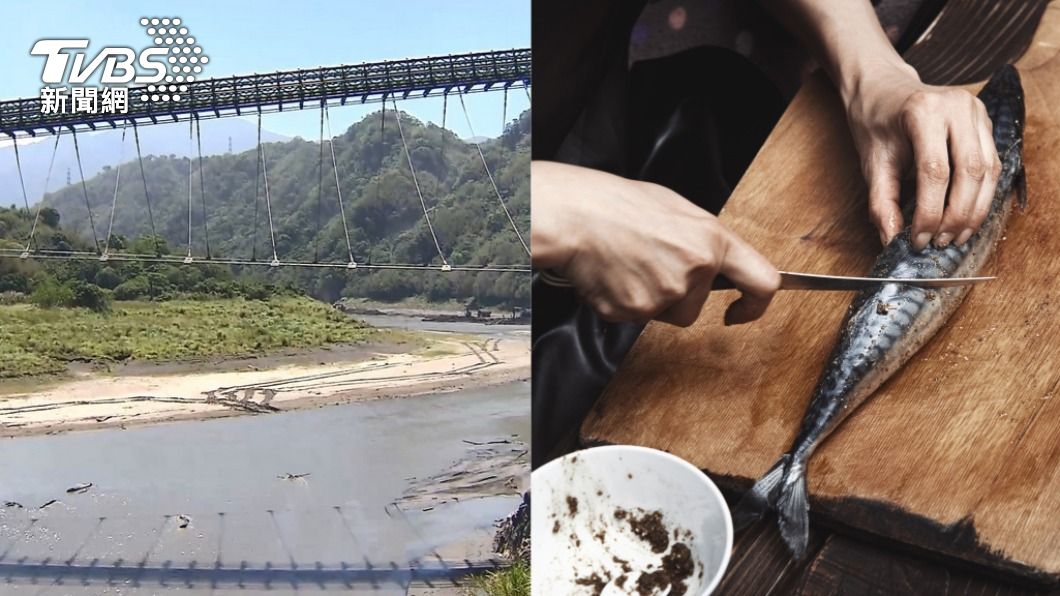 石門水庫漁獲量不到1成!特色「活魚三吃」快沒了