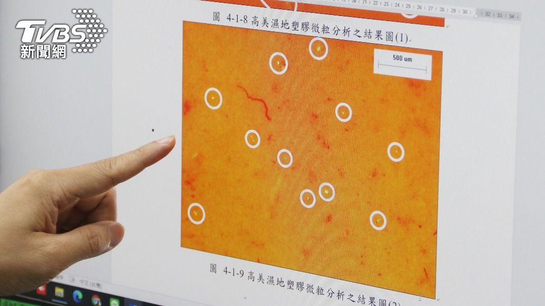 弘光科大針對中部沿海調查,發現高美濕地的塑膠微粒數量最多。(圖/中央社)