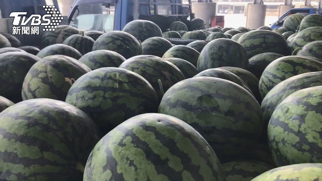 西瓜保單開賣 每公頃實繳4千多元起、最多賠8萬