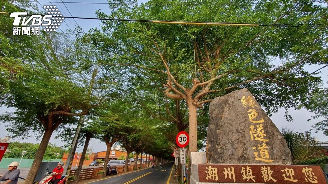 潮州綠色隧道。（圖／中央社）