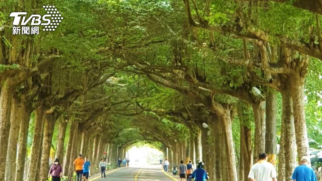 許多民眾前往運動、散步。（圖／中央社）