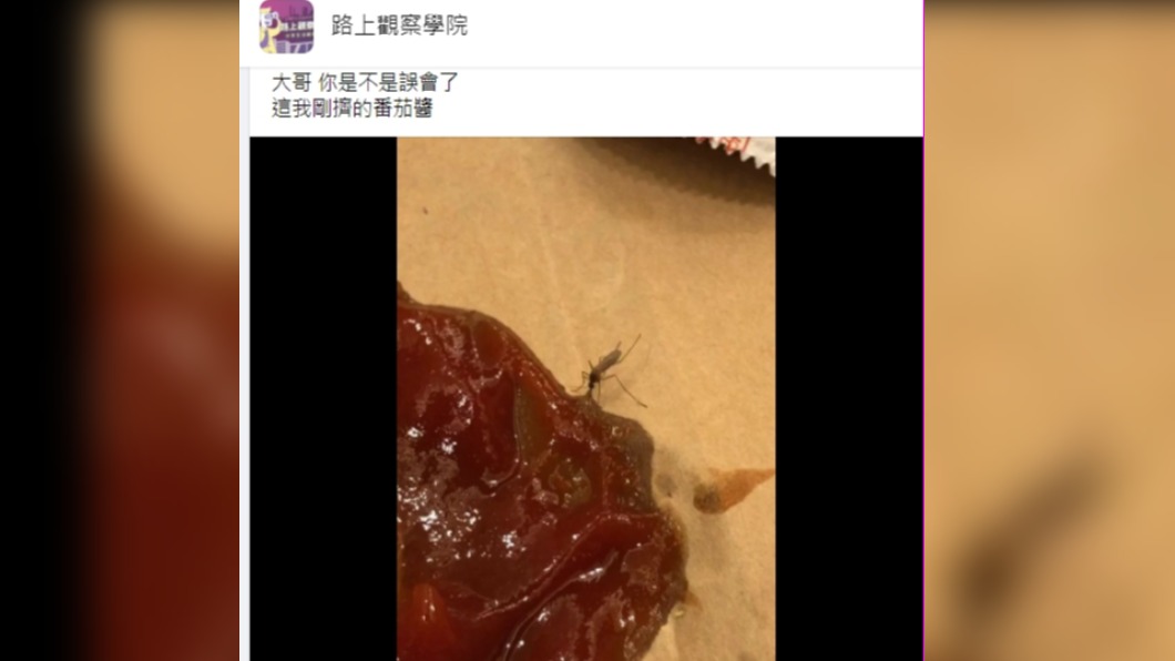 蚊子吸番茄醬。(圖/翻攝自「路上觀察學院」)