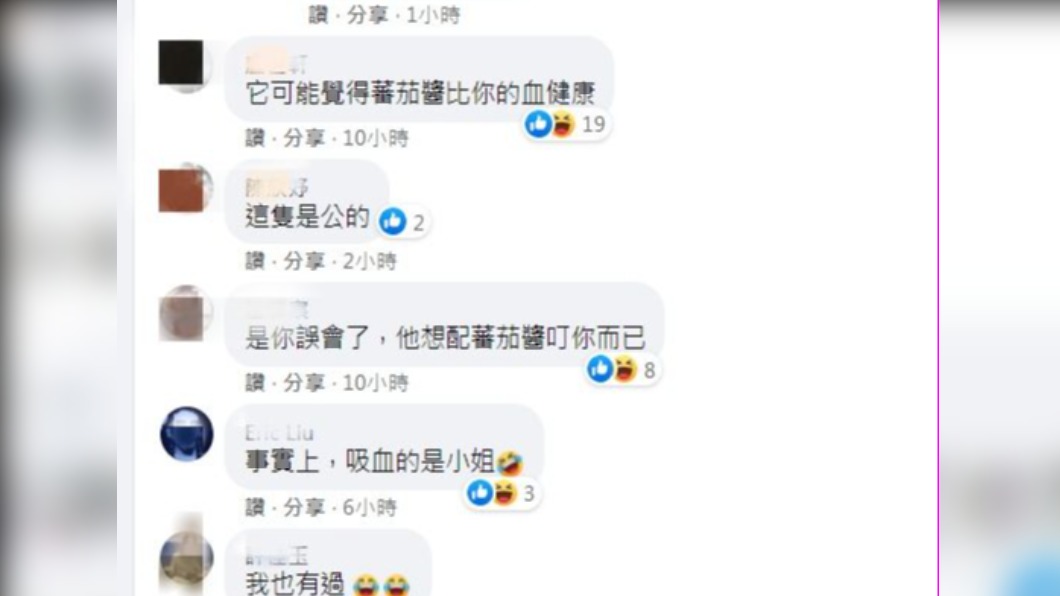 (圖/翻攝自「路上觀察學院」)