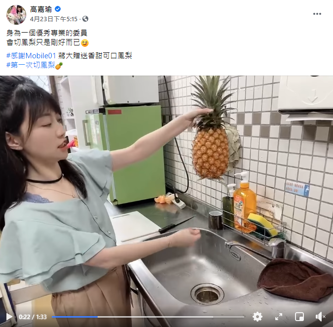 (圖/翻攝自高嘉瑜臉書)