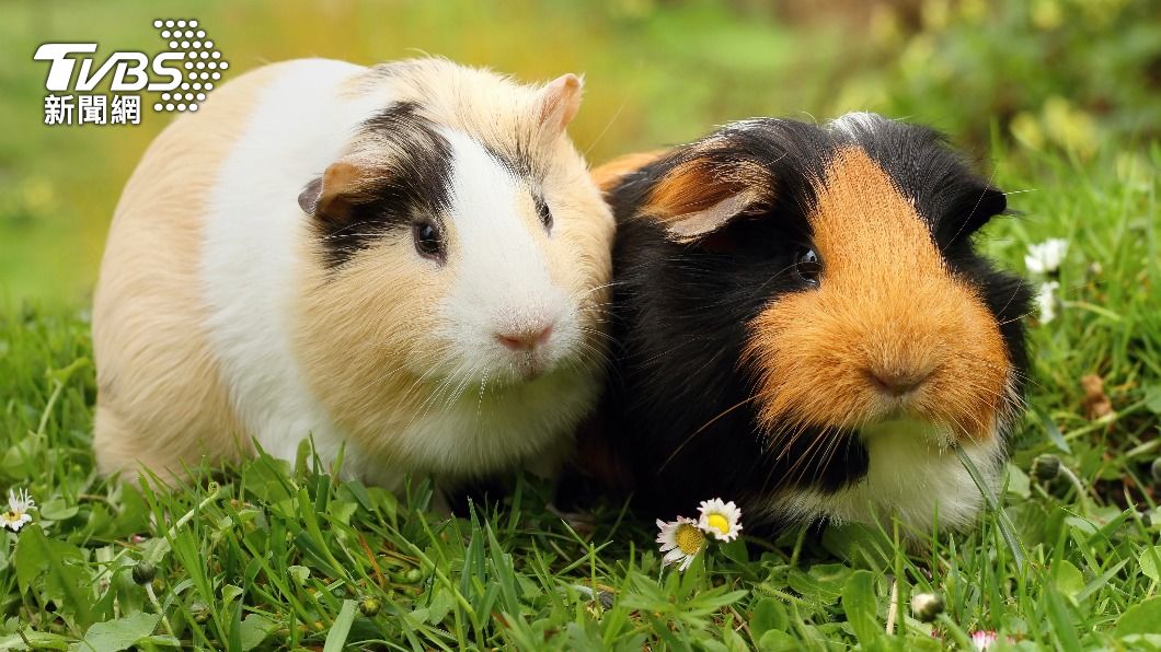 （示意圖／shutterstock 達志影像）