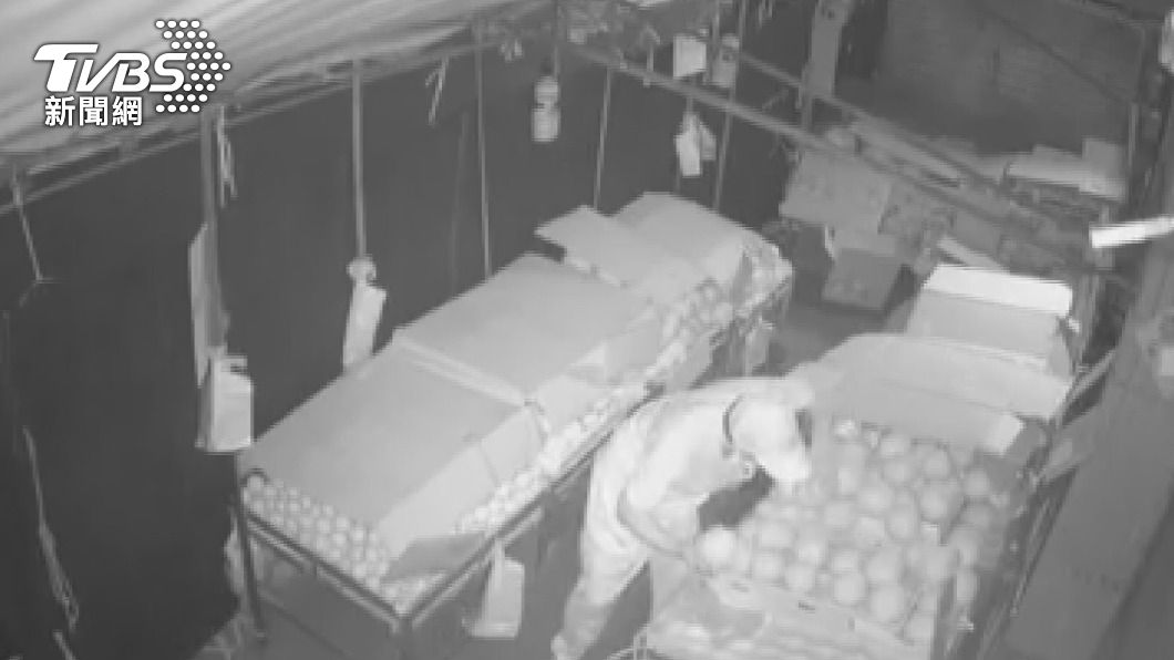 專挑貴的！摸黑竊走5千元水果　警循線逮捕男子
