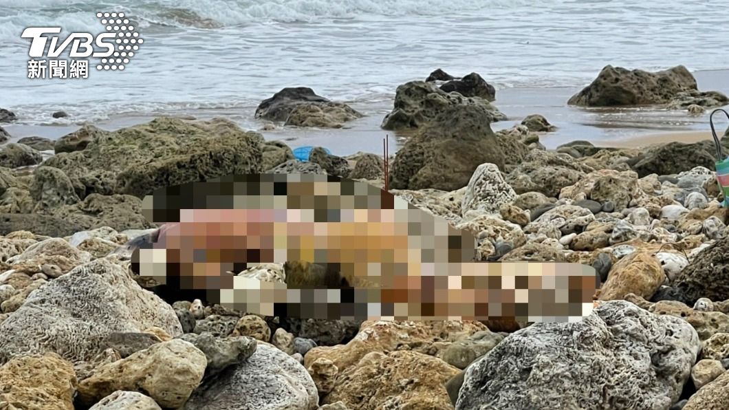 男子遺體尋獲時已經浮腫。(圖/TVBS)