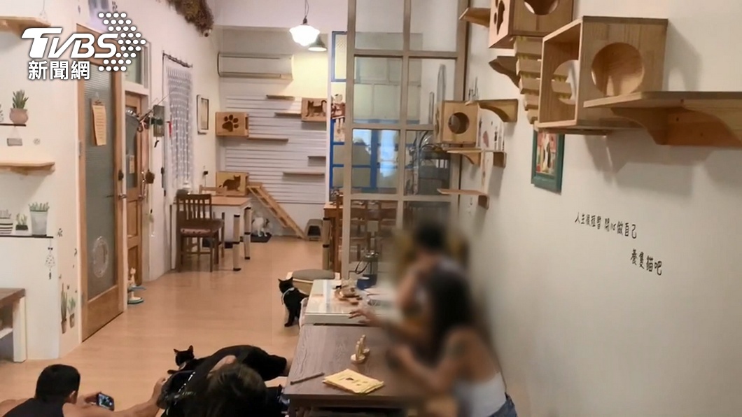 圖/TVBS非'當事人