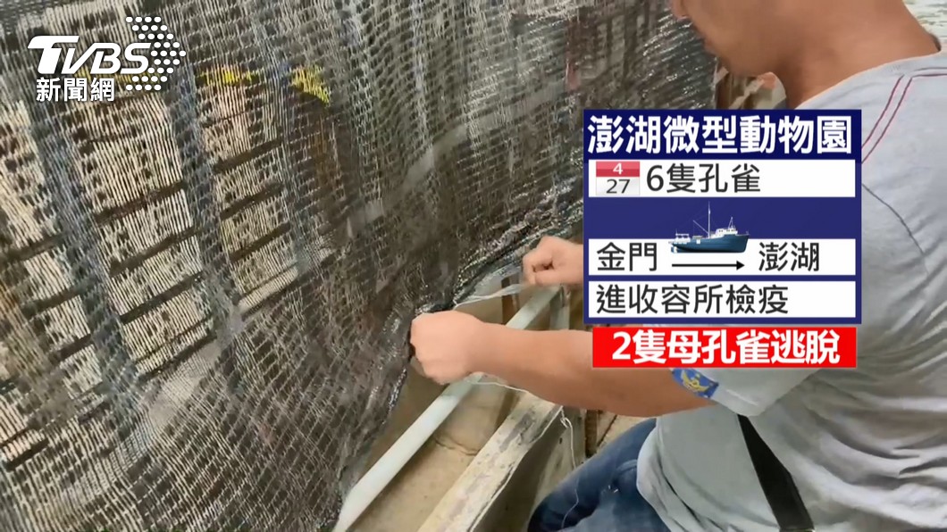 圖／TVBS