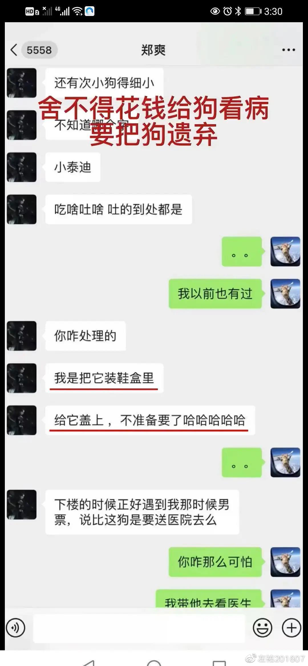 鄭爽被爆捨不得花錢給狗看病。(圖/翻攝自微博)