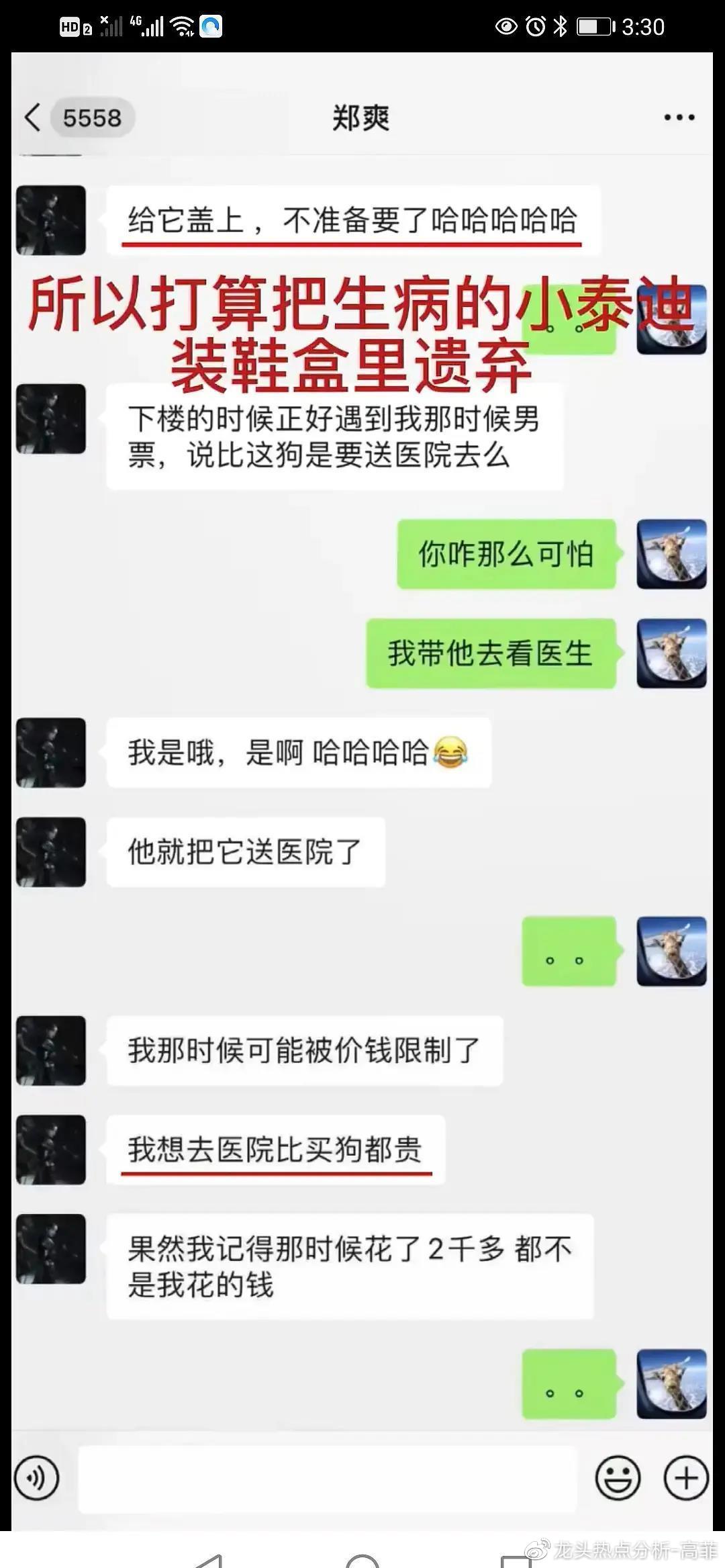 鄭爽冷血將病犬放進鞋盒。(圖/翻攝自微博)
