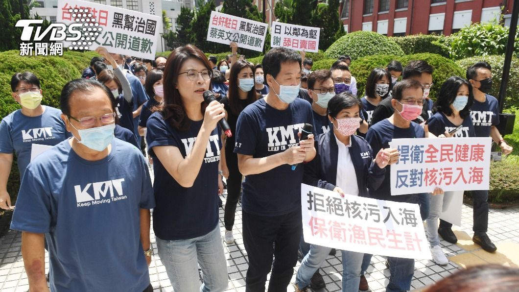 藍委徒步至總統府抗議 要求蔡英文撤換謝長廷