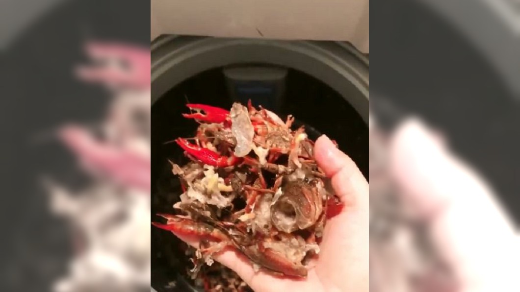 沒想到洗衣機洗完後小龍蝦均被絞碎殆盡。(圖/翻攝自微博)
