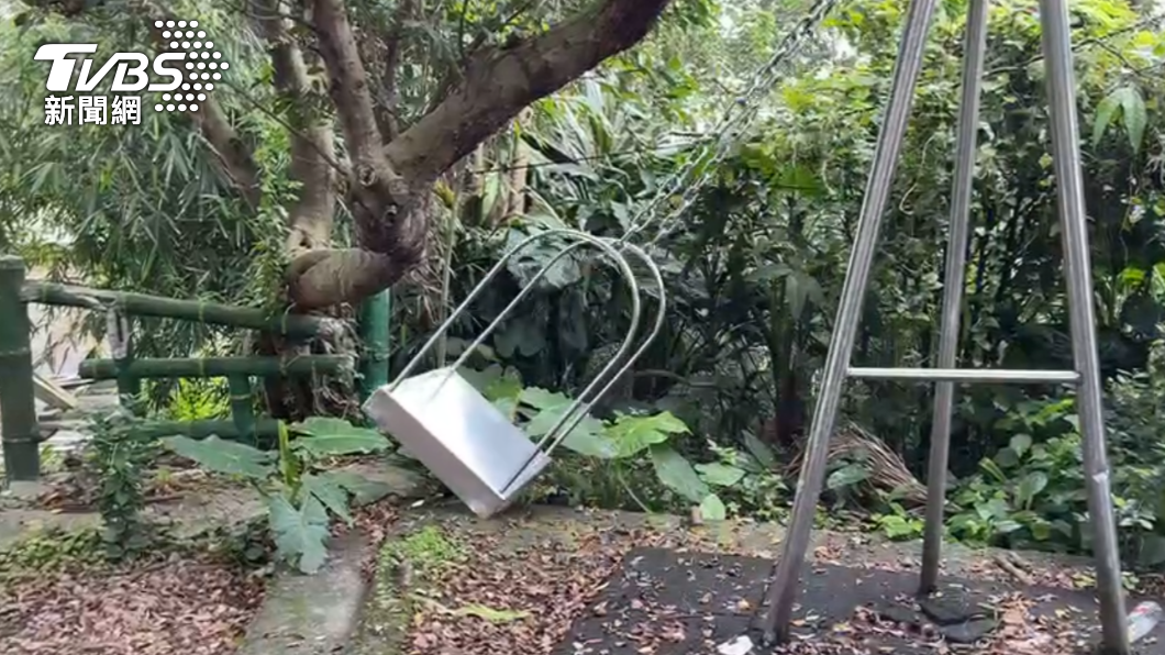 鞦韆盪起來的高度與樹幹距離。(圖/TVBS)