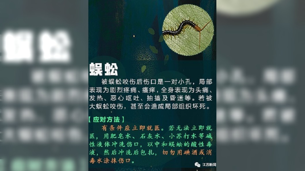 醫師提醒千萬別小看蜈蚣的毒素。(圖/翻攝自微博)