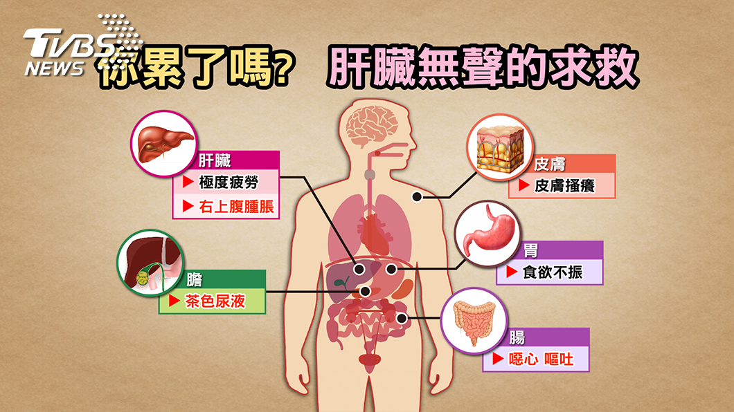 疲勞的人肝不好？患有B肝做這事 罹癌機率高120倍
