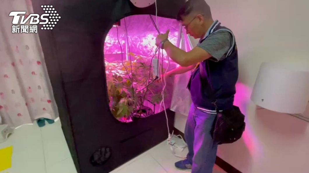 透天厝成大麻種植場。（圖／TVBS）
