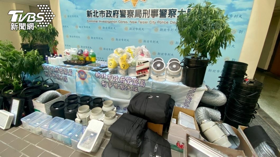 大麻案證物。(圖/TVBS)