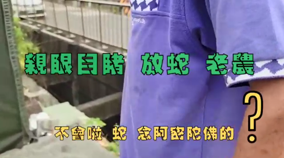 放生者稱「唸阿彌陀佛就不會咬人了」,讓社子島當地的老農相當傻眼。(圖/台北市議員徐立信提供)
