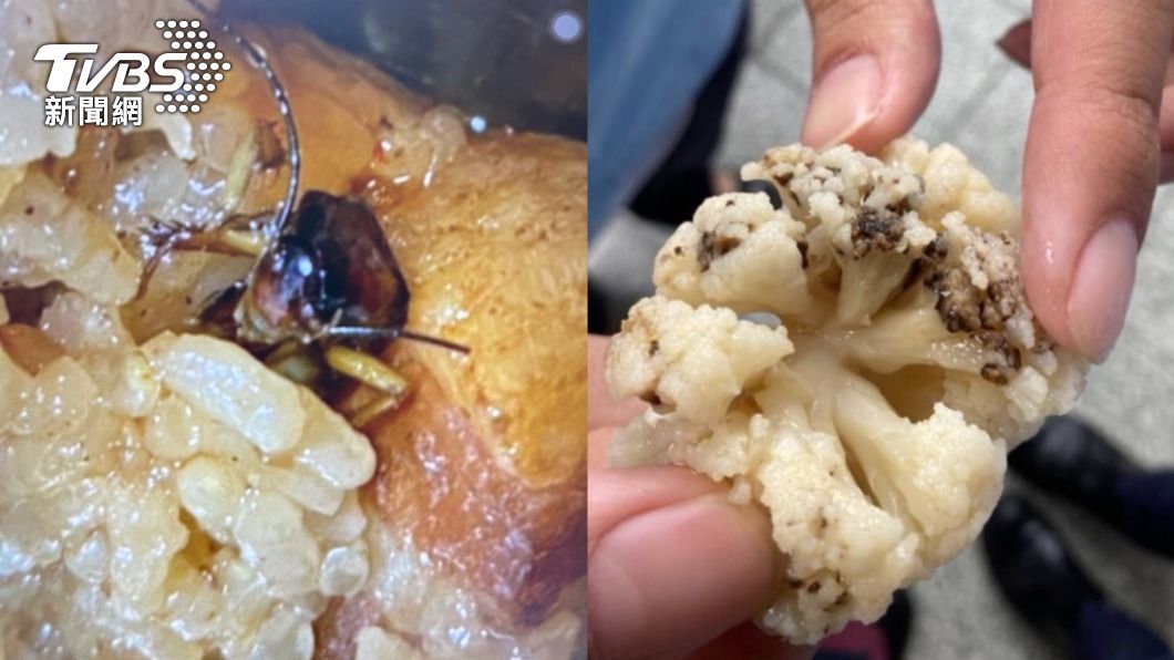 午餐「蟑螂油飯、發霉花椰菜」 新北貴族高中爆食安危機