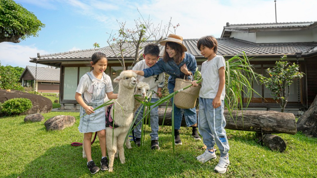 宜蘭綠舞國際觀光飯店近期進駐新動物,升級為「動物體驗飯店」。(圖/翻攝自綠舞國際觀光飯店官網)
