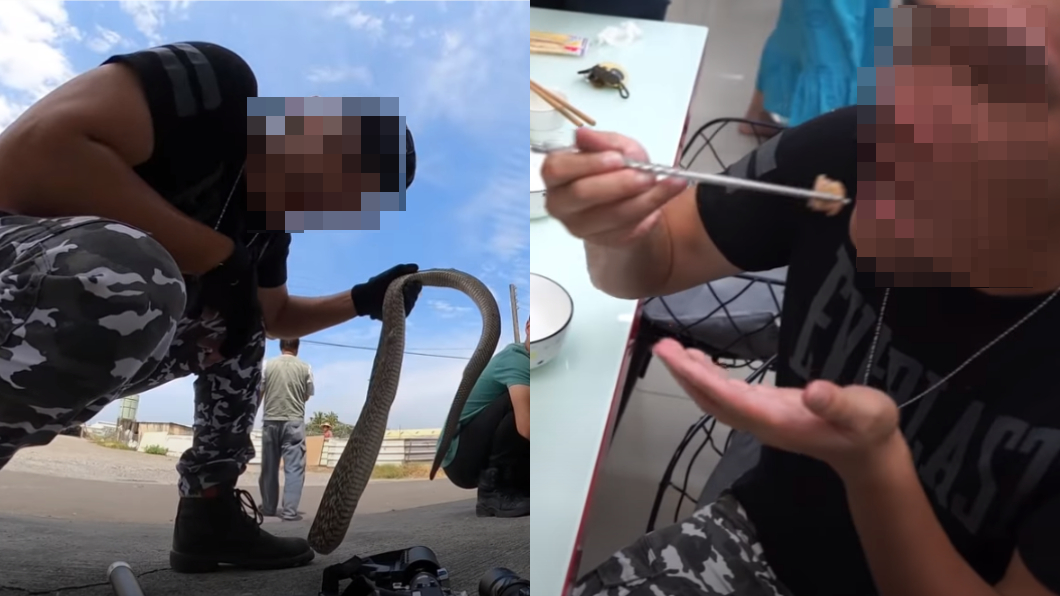 網紅「活捉王錦蛇」剝皮吃下肚 最高恐開罰30萬