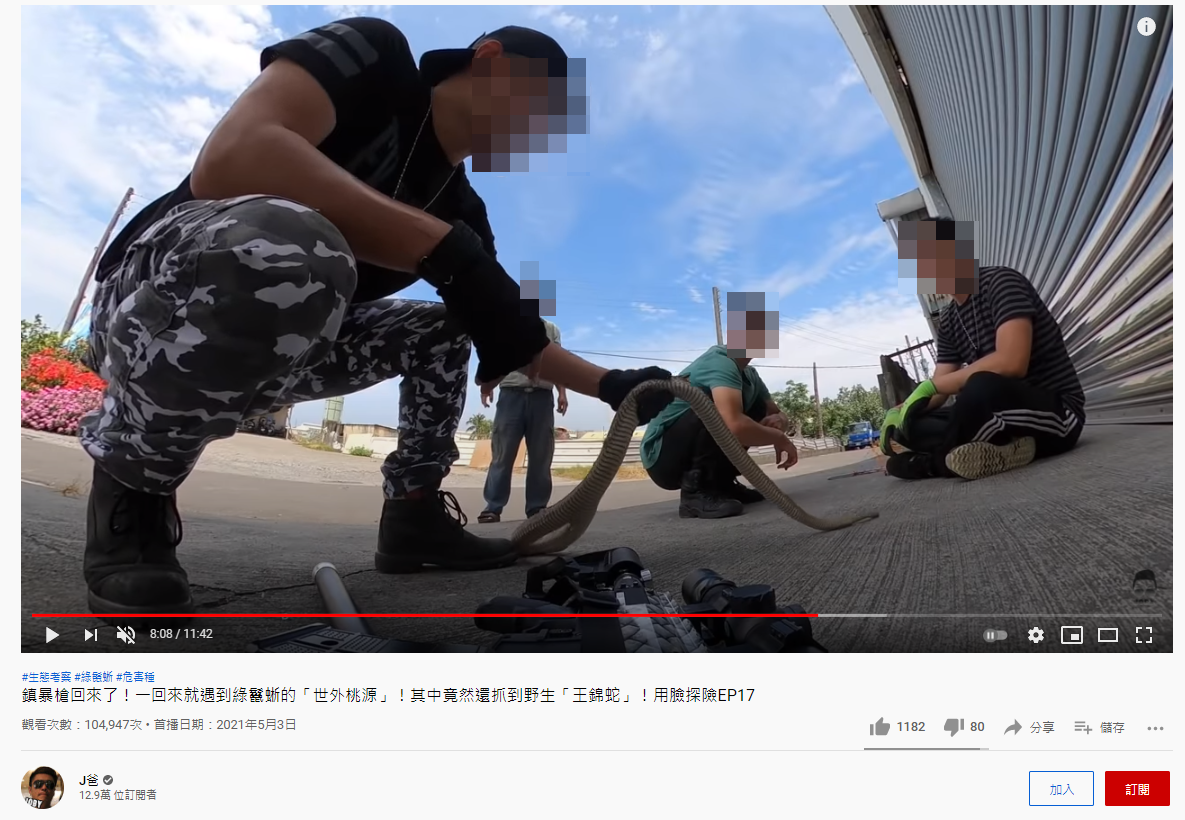 J爸獵捕俗稱「臭青母」的王錦。(圖/翻攝自J爸YouTube頻道)