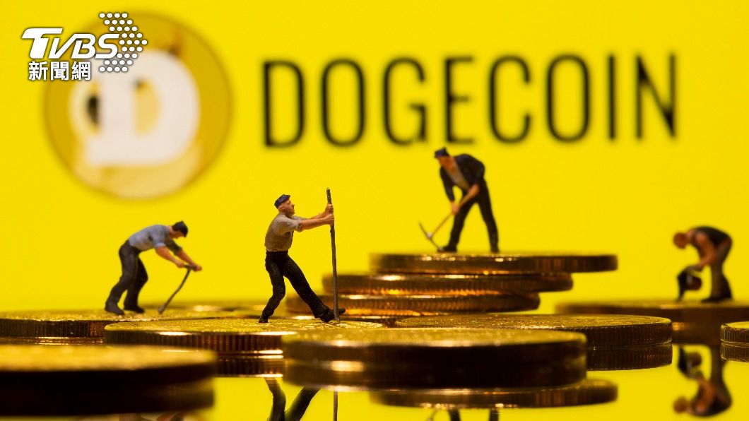 狗狗幣在節目播出後暴跌30%。(圖/達志影像路透社)
