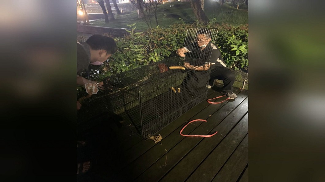 圖／畫面翻攝自宜蘭知識+