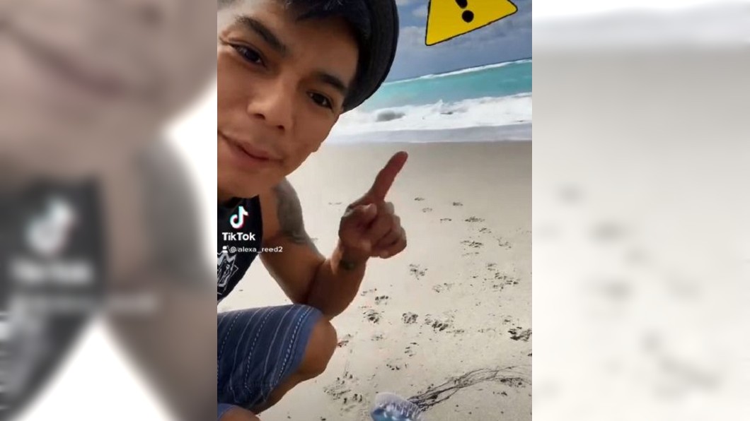 國外一名男子日前在沙灘上發現僧帽水母。(圖/翻攝自TikTok)