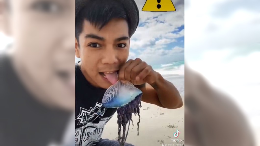 男子將僧帽水母撿起還舔了一口,網友們全驚呆。(圖/翻攝自TikTok)