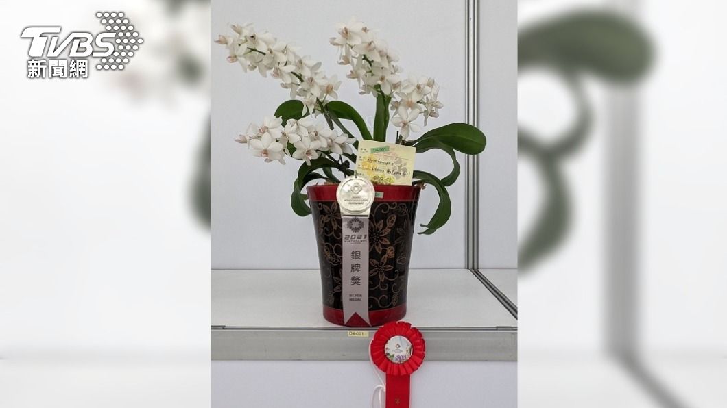 高雄區農業改良場4株新奇蘭花　世界蘭展獲獎
