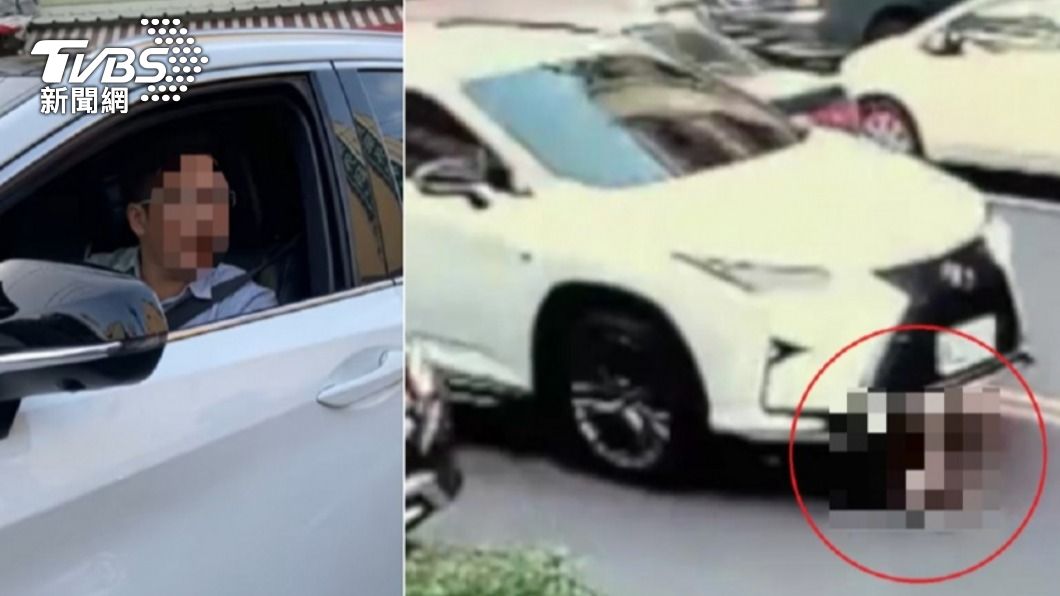 名車輾浪浪下跪道歉後神隱 承諾做公益卻找無人