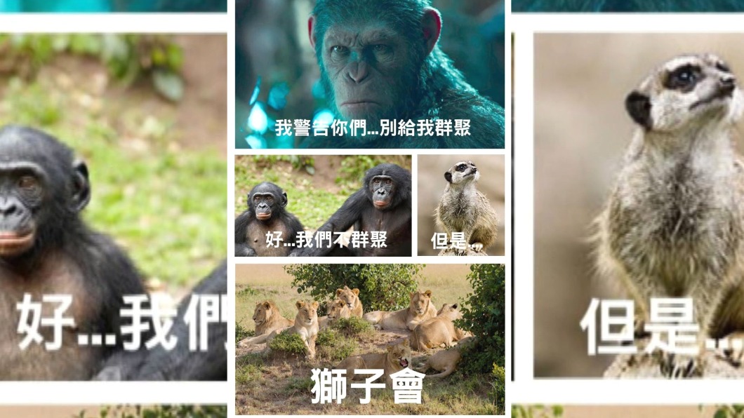 圖/翻攝自網路