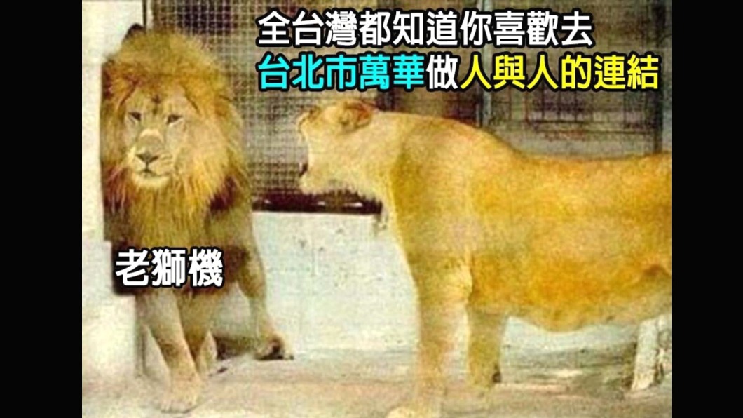 圖/翻攝自網路