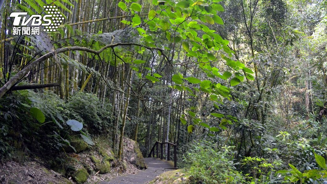 部落要求暫時封閉迷糊步道等景點。(圖/中央社)