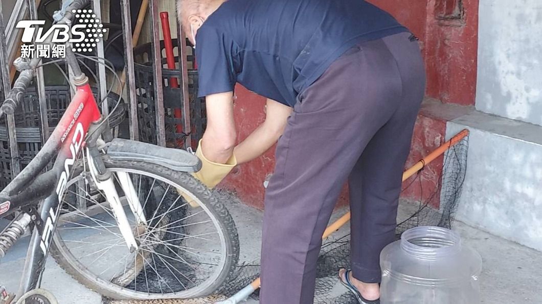 （圖／中央社）