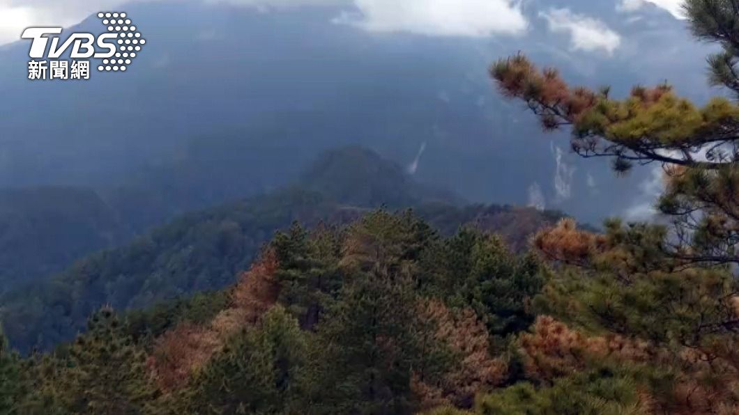 玉山森林大火終於滅了 林務局:鉅額成本絕對求償