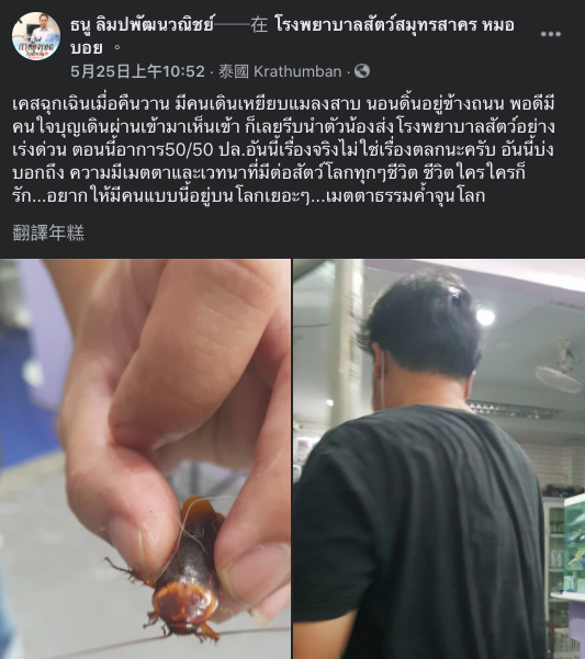 獸醫在臉書分享好心男救小強的故事。(圖/翻攝自ธนู ลิมปพัฒนวณิชย์臉書)