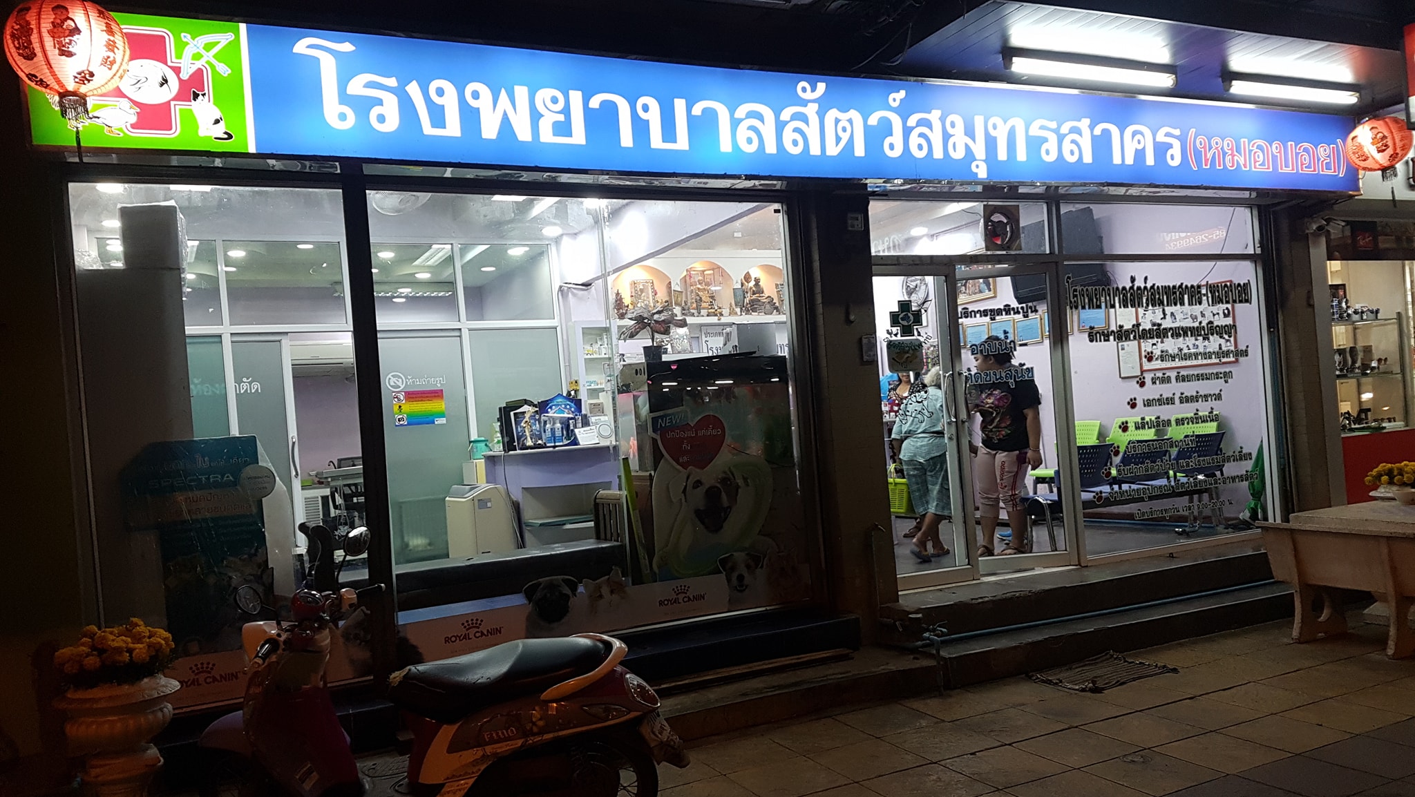 蟑螂被踩到剩半條命,幸運遇到男子帶牠前往醫院。(圖/翻攝自โรงพยาบาลสัตว์สมุทรสาคร หมอบอย臉書)