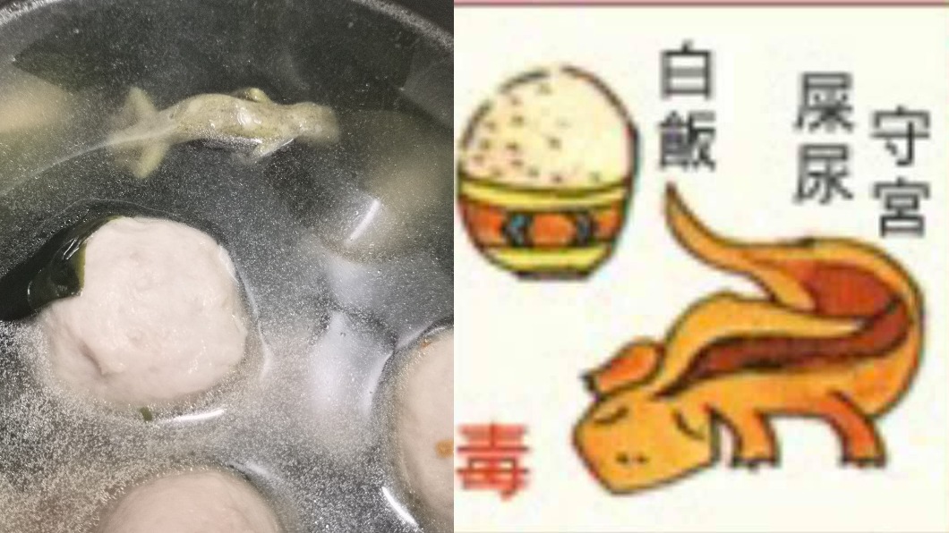 網友也在煮湯時遭壁虎落入,有人貼出食物相剋表要原PO別擔心中毒。(合成圖/翻攝自「爆怨2公社」)