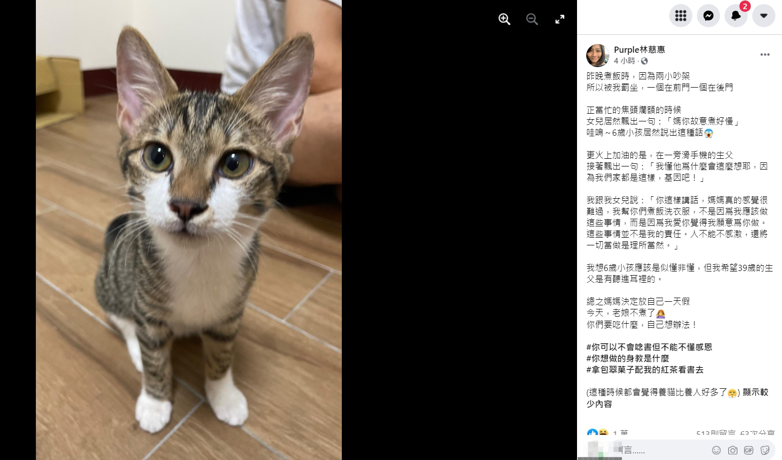 （圖／翻攝自林慈惠臉書）