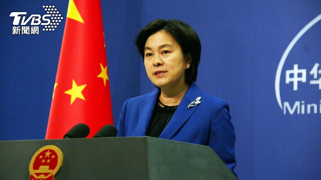 苗博雅表示日本要承受中國的政治壓力。（圖／中央社）