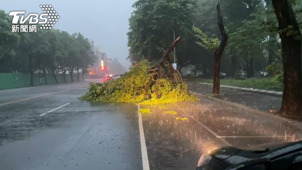 滂沱大雨下到天亮 高雄、台南劇烈降雨路樹倒塌