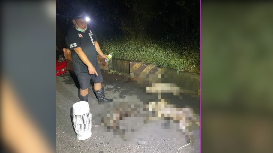 5犬慘死遭棄屍!腳綁電線纏捕蚊燈 警籲目擊者出面