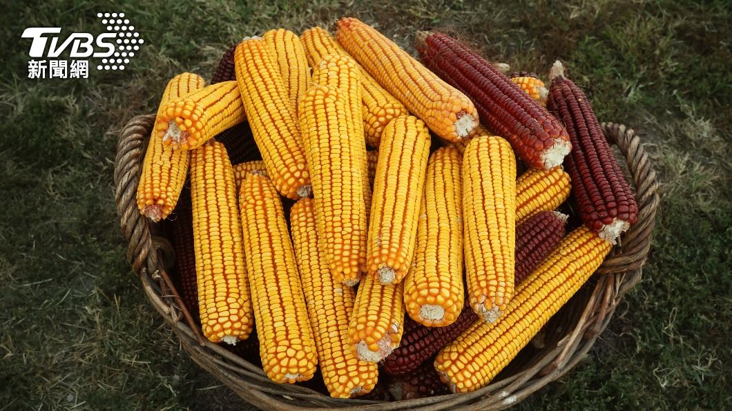 玉米熱量、碳水化合物含量比玉米筍高。(示意圖/shutterstock達志影像)