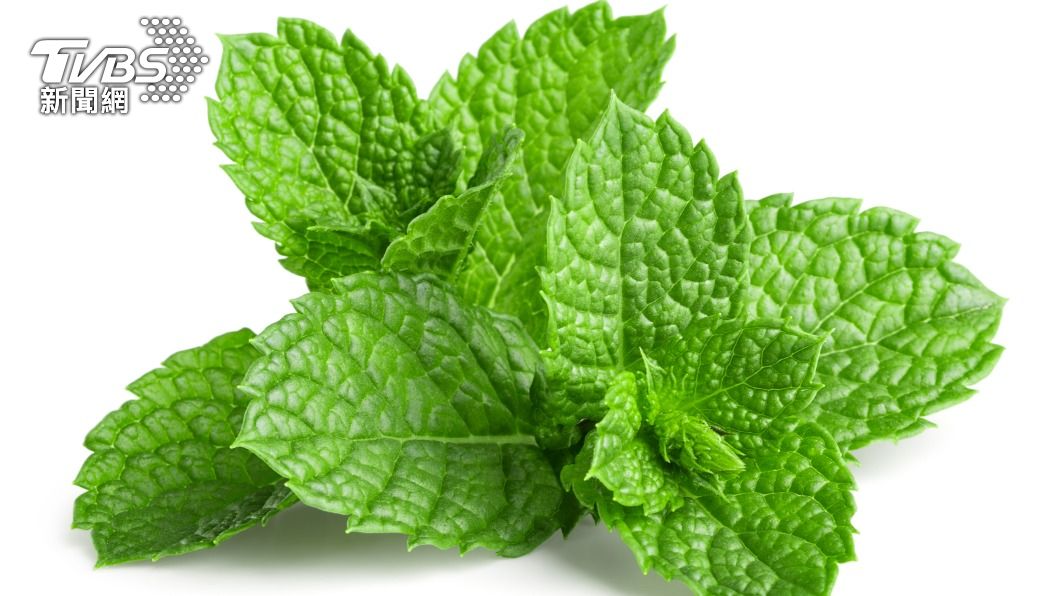 薄荷有提神醒腦和抗炎鎮痛的功效。（示意圖／shutterstock達志影像）