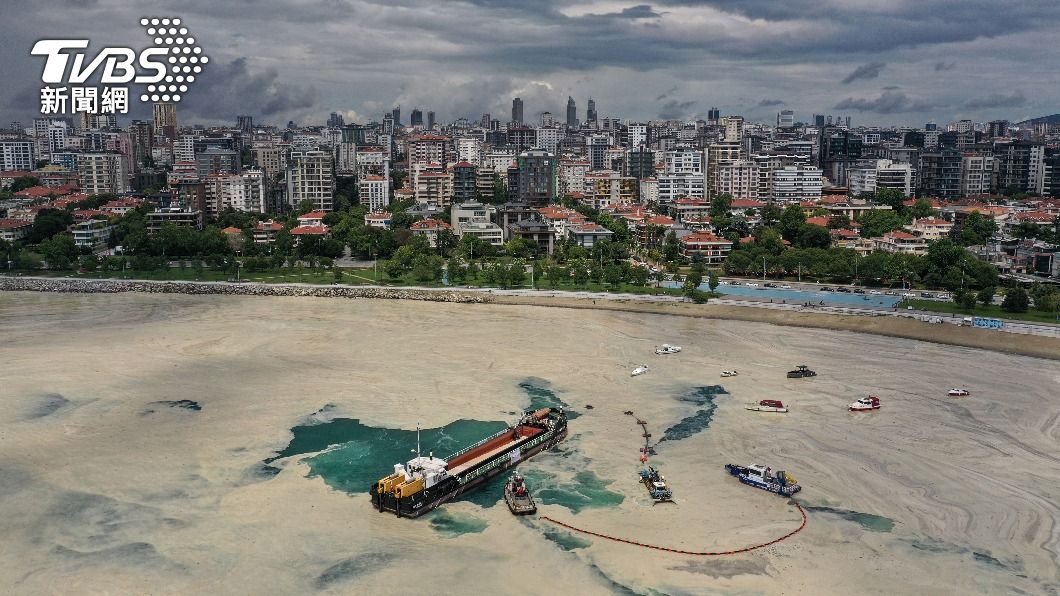 「海鼻涕」恐悶死珊瑚! 科學家曝解方:海洋細菌可除黏液