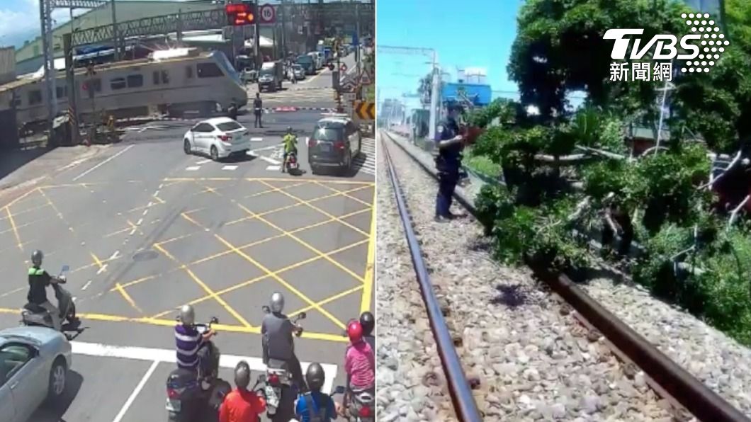 路樹倒鐵軌!警衝平交道「急壓按鈕」 緩住列車畫面曝